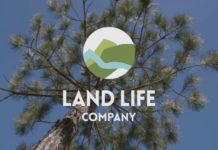 Η LeasePlan βοηθά στην αντιστάθμιση του αποτυπώματος άνθρακα