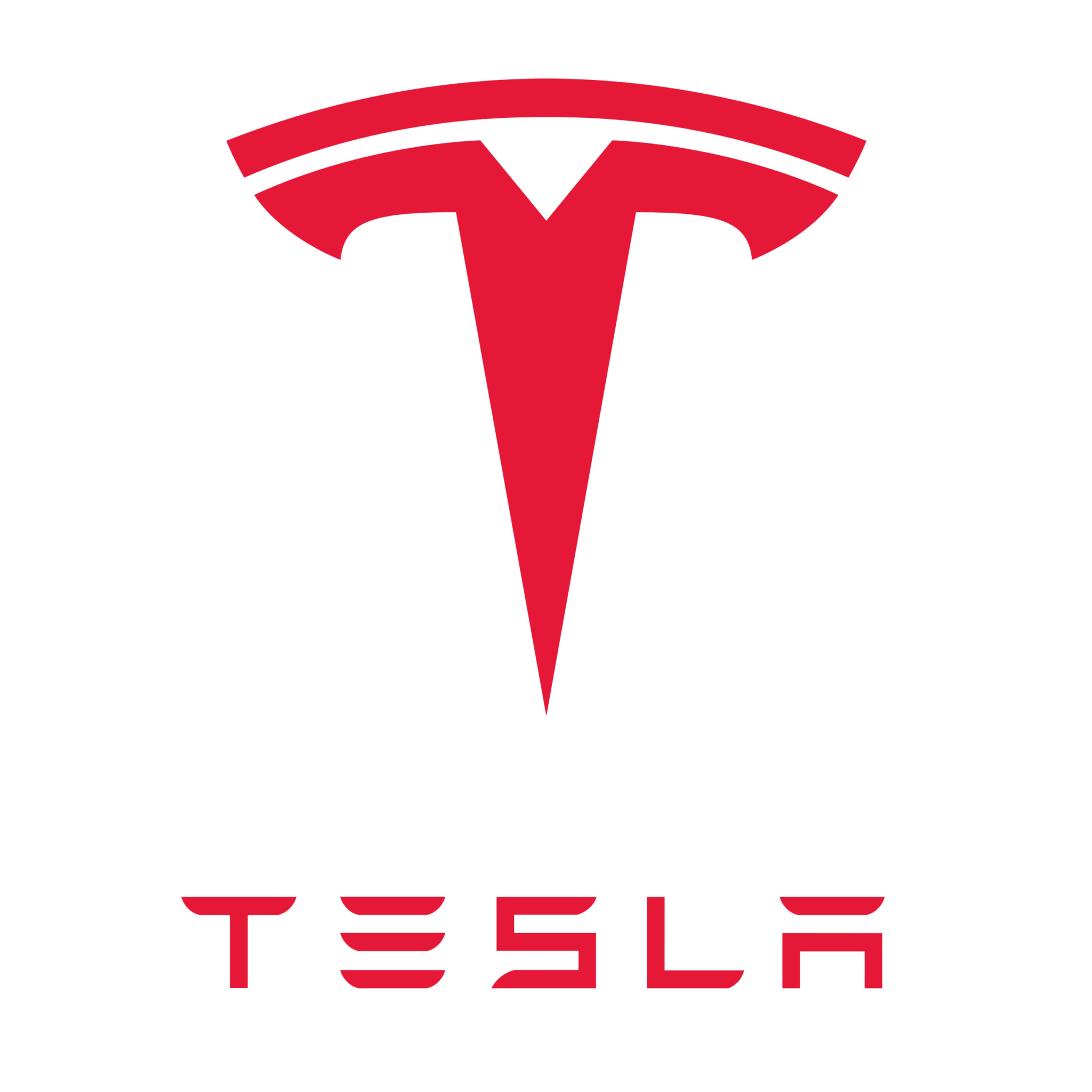 Tesla china official