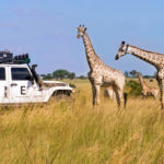 O γύρος του κόσμου με ένα Jeep Wrangler