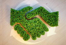 CDP: Το Groupe PSA στους παγκόσμιους ηγέτες χαμηλού άνθρακα