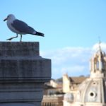 #500NatureChallenge: η Fiat για τη νέα ισορροπία φύσης – ανθρώπου #500NatureChallenge