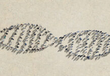 Θα διευρύνει την εργασία από το σπίτι το Groupe PSA