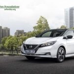 20.000 δέντρα στην Ευρώπη για τα 10 χρόνια του LEAF 20.000 δέντρα στην Ευρώπη για τα 10 χρόνια του LEAF