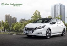 20.000 δέντρα στην Ευρώπη για τα 10 χρόνια του LEAF 20.000 δέντρα στην Ευρώπη για τα 10 χρόνια του LEAF