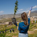 LeasePlan: δενδροφύτευση και προστασία της άγριας ζωής