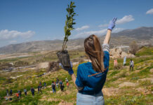 LeasePlan: δενδροφύτευση και προστασία της άγριας ζωής