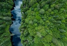 Έγκριση των στόχων εκπομπών της ABB από την SBTi