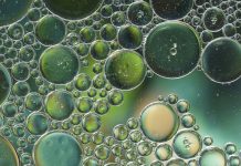 Ιαπωνία – Κατασκευαστές: Επένδυση στα βιοκαύσιμα