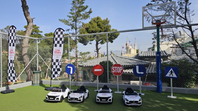 (02) Avis Little Drivers