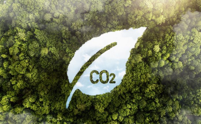 (04) co2