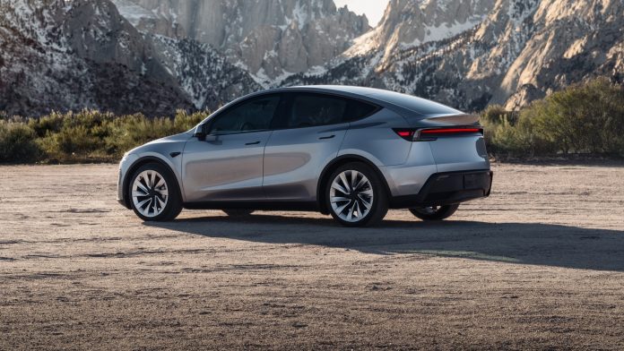 (20) Tesla Model Y