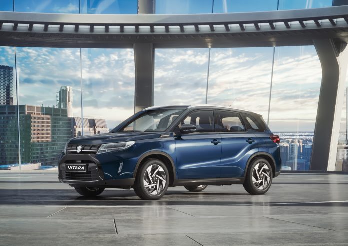 (10) SUZUKI VITARA