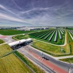 Volkswagen και Βιοποικιλότητα