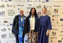 Toyota-Michelin: Προώθηση της προσβάσιμης κινητικότητας