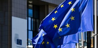 Γιατί οι εταιρικοί στόλοι πρέπει να επιλέγουν EV από ΕΕ